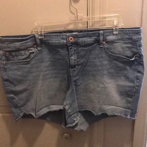 Torrid plus cut off jean shorts